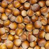 Shelled hazelnuts