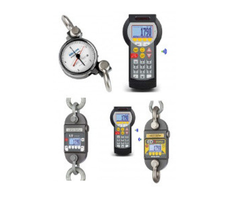 Crane Scales